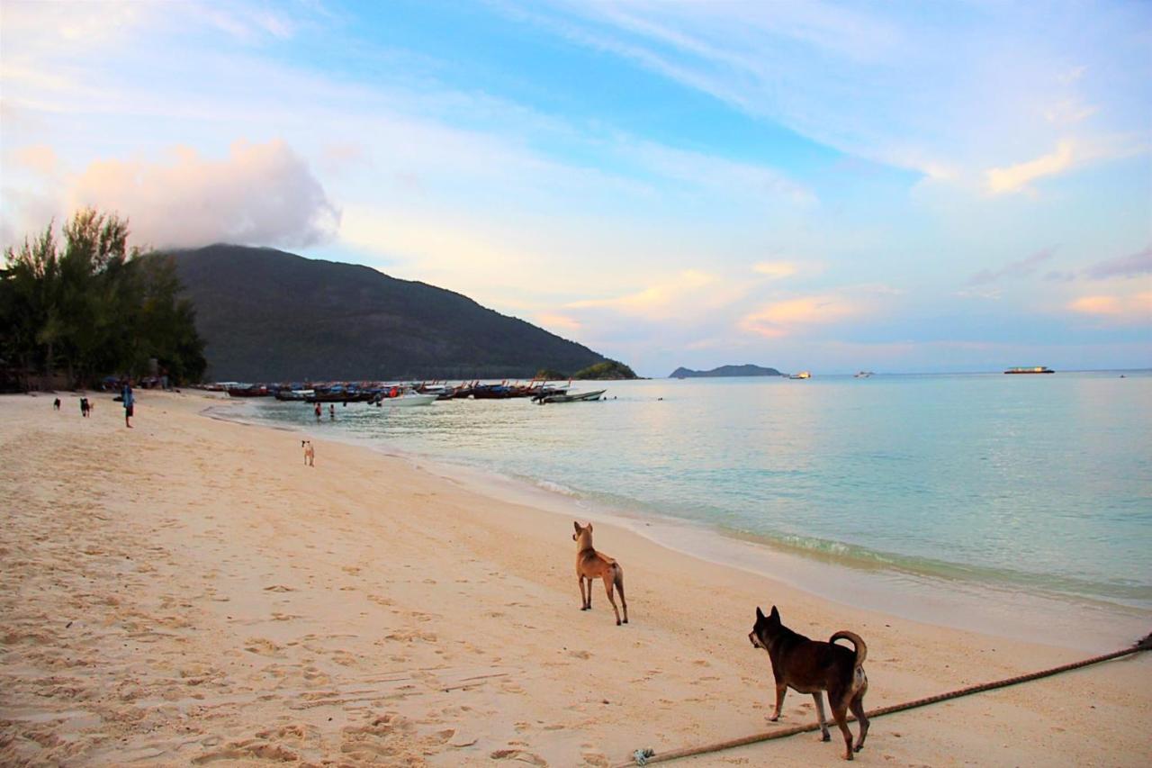 Sunflower Guesthouse And Animal Rescue - Koh Lipe Exterior photo