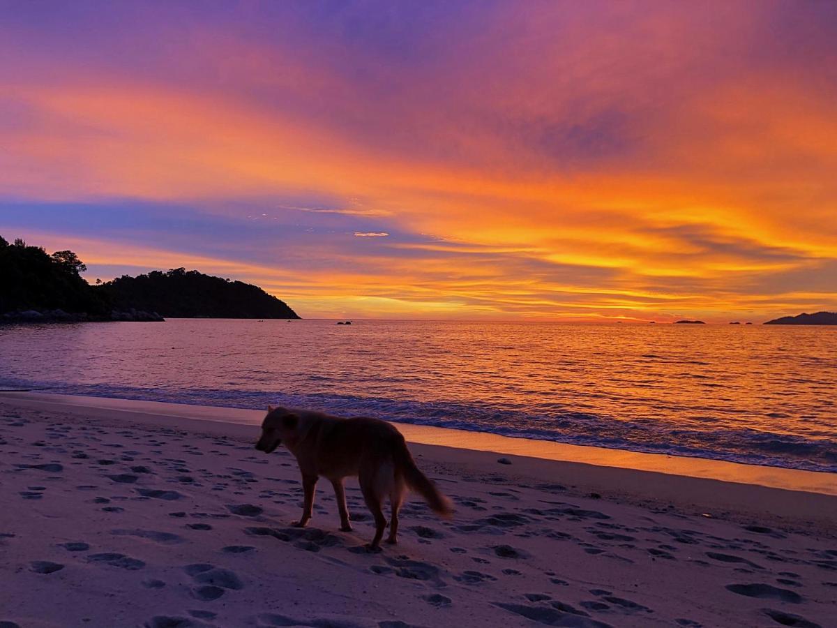 Sunflower Guesthouse And Animal Rescue - Koh Lipe Exterior photo