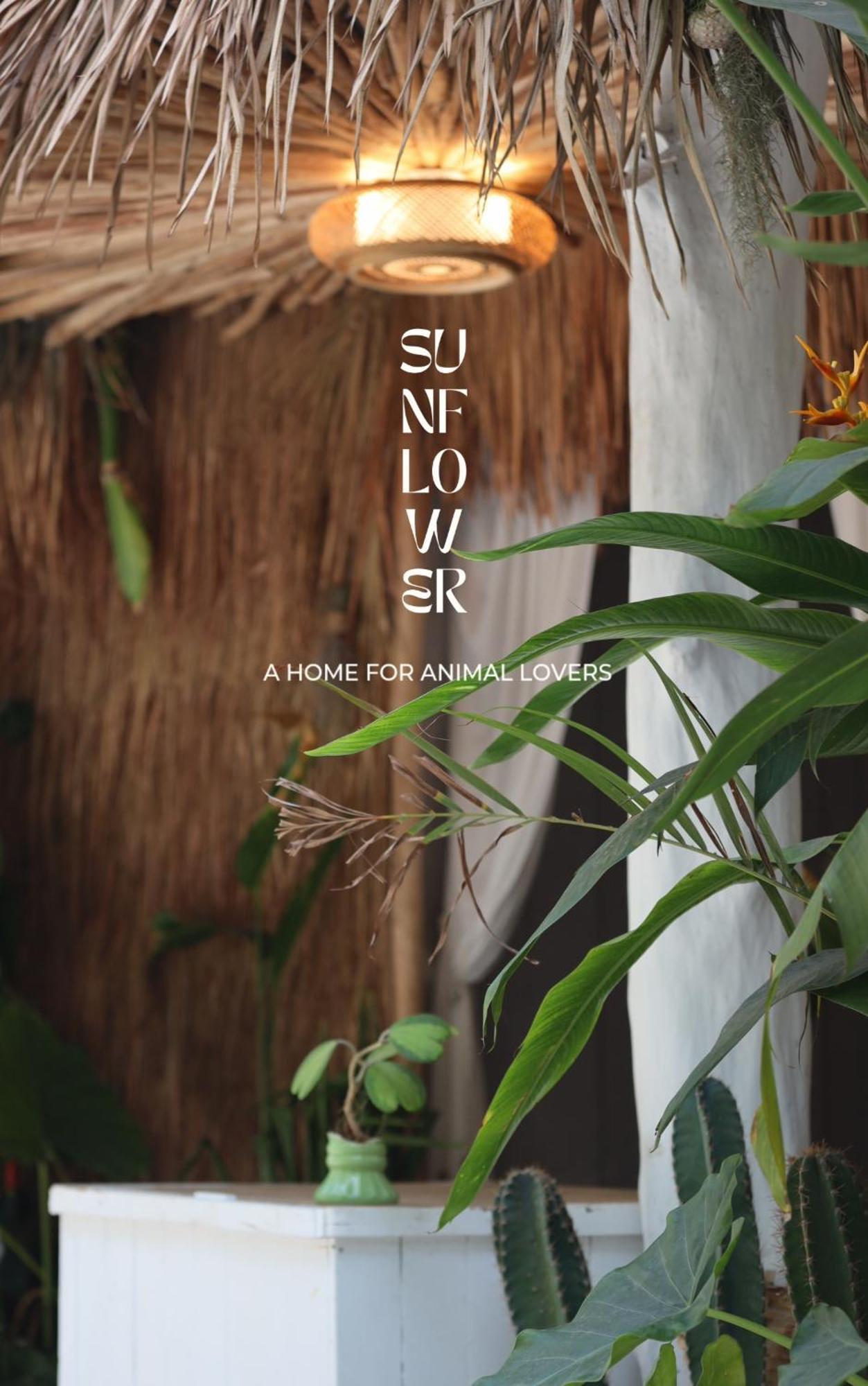 Sunflower Guesthouse And Animal Rescue - Koh Lipe Exterior photo