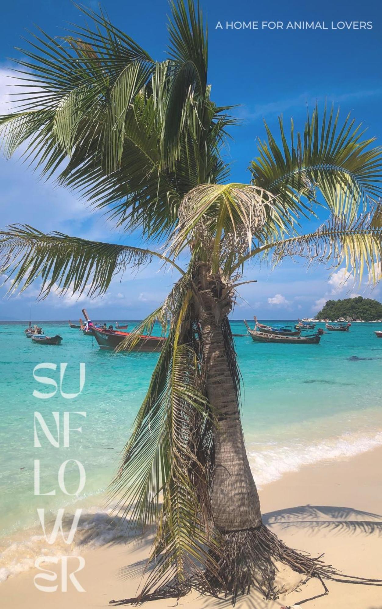 Sunflower Guesthouse And Animal Rescue - Koh Lipe Exterior photo
